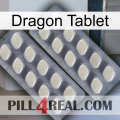 Dragon Tablet 07